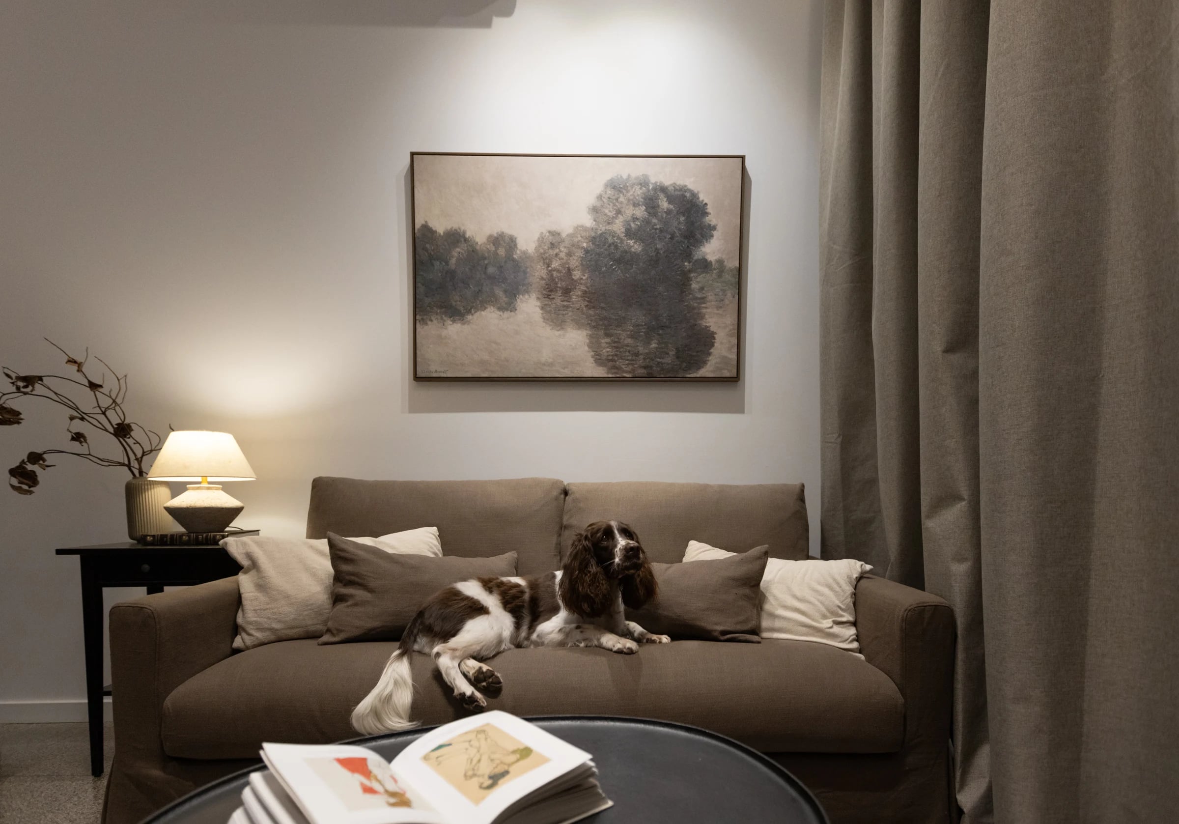 A dog resting on a taupe sofa beneath framed artwork, with an open book on a round coffee table.
