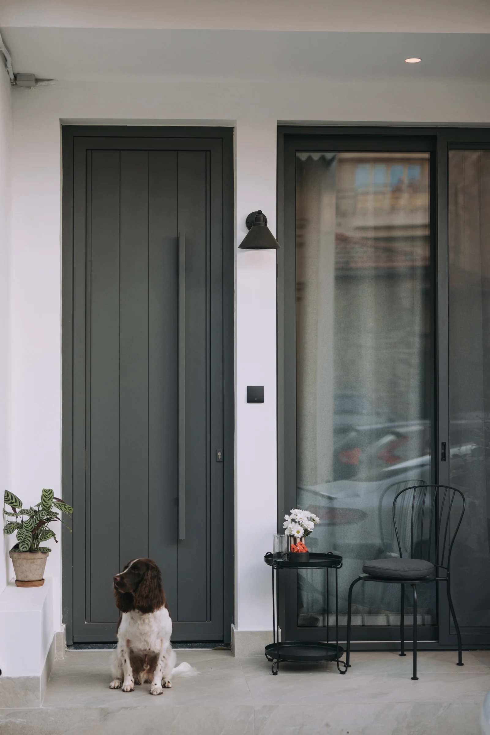 A dog sitting outside a grey entrance door beside a glazed doorway and small outdoor table.